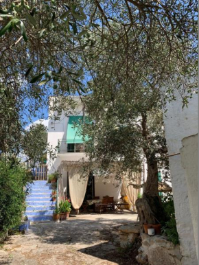 Villa in pietra